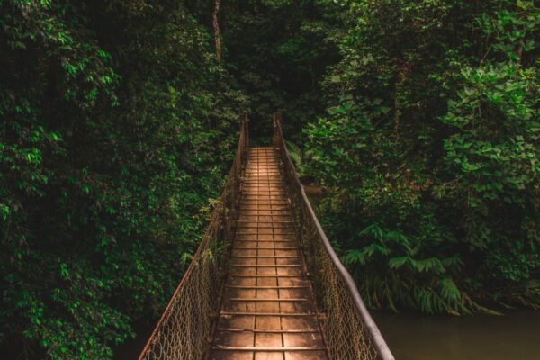 ronaldo-de-oliveira-zAkISnvAHRo-unsplash (FILEminimizer) Benerbareng Self Healing Tanpa Pusing
